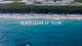 Beach Clean Up Tulum 2020