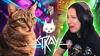 STRAY Walkthrough Part 1 - CRAZY CAT LADY INTENSIFIES
