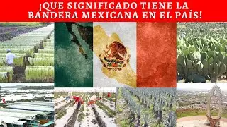 BANDERA DE MÉXICO I ¿ES LA MAS BONITA DEL MUNDO?