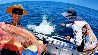 Cardwell:  LURE GIVE AWAY | 14 Hours fishing on the Great Barrier Reefs
