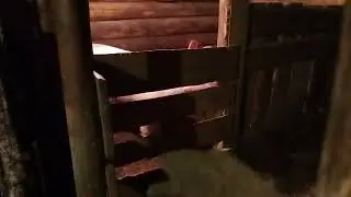 Хрючево рвётся на волю.