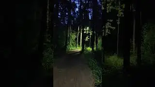 природный антураж #птицы