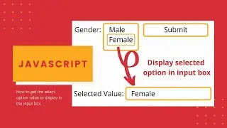 How to get Selected option value from Dropdown menu using JavaScript | Hindi