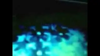 Bob esponja multilanguage 3