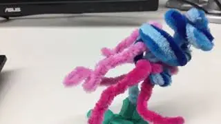 Jellyfish🐠