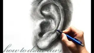 How to Draw Ears | Ears drawing for kids