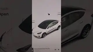 I Just Found a Great Little Tesla Model 3 Trick #shorts