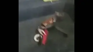 Когда очень хочешь жить