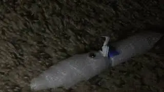 ALCT films The Marshmello 1988