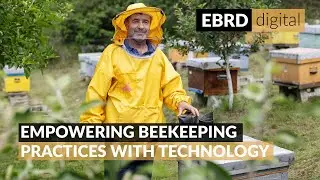Bridging tradition and innovation to empower sustainable beekeeping