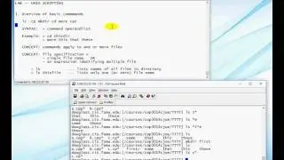 Unix scripting 1