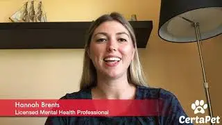 Connect with a  Real Licensed Mental Health Professional | Get Started Today with CertaPet