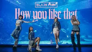BLACKPINK - HOW YOU LIKE THAT DANCE COVER MV BY KINDO PROJECT FROM INDONESIA