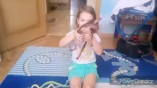 ПОДАРОК СОБАКА 🐶