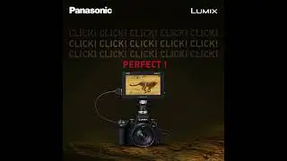 World Photography Day | Lumix