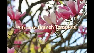 Sitecore Branch Template