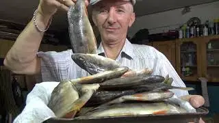 Dry salted fish. I was hoping for the best... I'm disappointed.