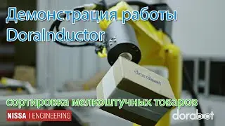 Dorabot DoraInductor  - робот манипулятор для отбора мелкоштучного товара