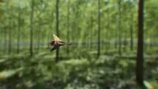 Robin Hood: Rogue Of The Forest - 3D Arrow Test