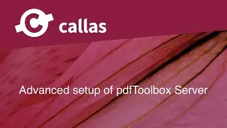 Advanced setup of pdfToolbox Server