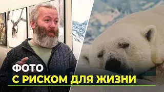 Цена уникальных кадров: как фотографы рискуют жизнью ради снимков дикой природы