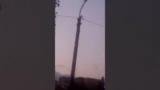 ЧЕКАЙТЕ. СНИМАЮ ДИЧЬ И НАБИРАЮ МНОГО ПОДПИСЧИКОВ🙂