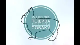 Мерки для пошива Жилетки на собаку