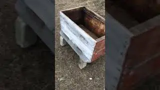Купил улий