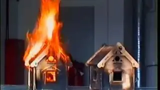 Огнебиозащита ТМ ИЗО