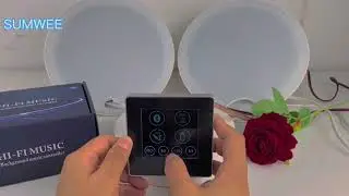 Amplificador De Parede Bluetooth Para Som Ambiente 4 Canais