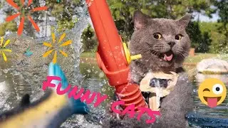 funny cats🐈💕🌼самые смешные и милые котики 🥰приколы с животными