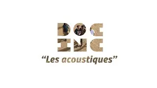 Doc inc #5 - Les acoustiques