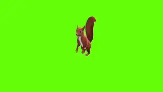 Stand to sit squirrel green screen।cartoon green screen। squirrel green screen। ostad animation