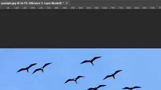 Photoshop Magic Wand tool