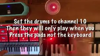Worlde Panda Mini Midi Controller DEMO with iPad and iOS APP Sampletank  MIDI LEARN/PADS & MORE