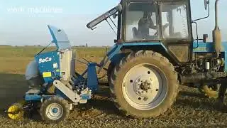 Garlic Planting Machine is on Action