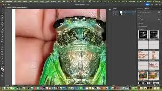Digital Literacy // Low Poly Project - Part 1