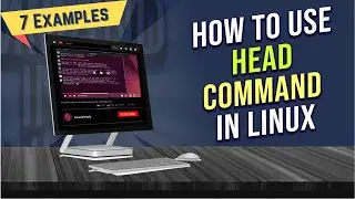How to Use “head” Command in Linux [7 Practical Examples] | LinuxSimply