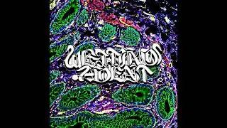 Wetting Agent - Promo (2024)