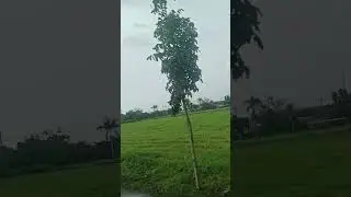 gusto ko ganito lugar