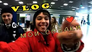 Начало конца !!! || Старт настоящей модельной карьеры || Трип Милан-Киев-Дубаи-Гуанжоу!!!
