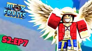 GETTING ANGEL RACE V2!🔥 | ROBLOX:- BLOX FRUIT SEASON 2 EPISODE 7