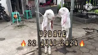 REVIEW HARGA ETAWA SENDURO || UPDATE 🔥22 JULI 2024🔥 ||@Etawasendurochannel