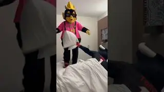 NO MORE MONKEYS JUMPING ON THE BED! 🙉 #houston #texans #savannahbananas #partyanimals #pharty