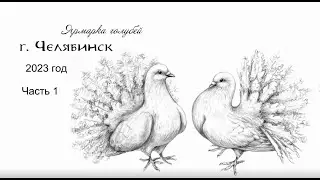 REVIEW. Pigeon Fair. Chelyabinsk. Part 1 / 12. 03. 2023