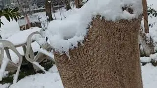Neve allo spazio Ubuntu (Gennaio 2023)