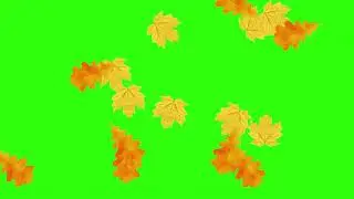 green screen effects adobe premiere pro fire electric particle after fx water world royalty free