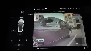 Tesla Model 3 update 2020.24.6.1 - Better autopilot, improved backup cam, and more!