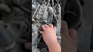 7 августа 2024 г.