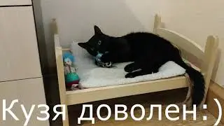 Лежанка для кота своими руками или деревянная кроватка для котика!